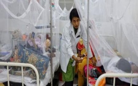 World gripped by dengue: So far in 2023 mosquito-borne disease has infected 5 million, killed 5,500