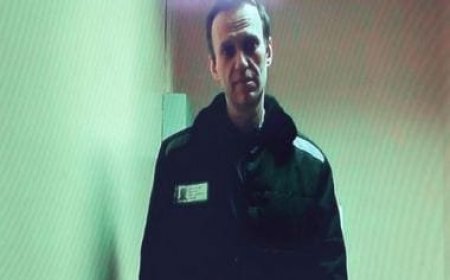 Still unclear where Russian opposition politician Alexei Navalny is, say allies