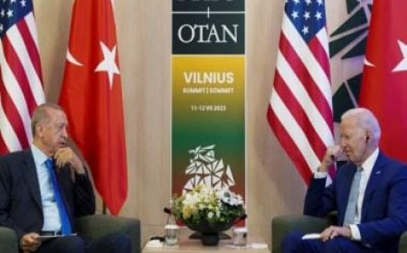 US President Biden, Turkey's Erdogan discuss Gaza war, Sweden's NATO bid