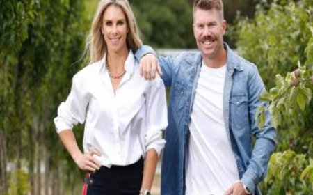 David Warner's wife Candice takes aim at Mitchell Johnson after opener's dazzling century