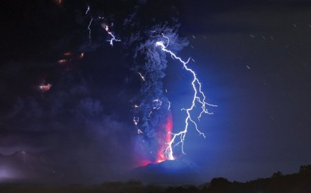 Here are some big-if-true scientific claims that made headlines in 2023