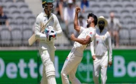 Australia vs Pakistan: Visitors dig in on Day 2 of Perth Test as Nathan Lyon inches closer to 500 Test wickets