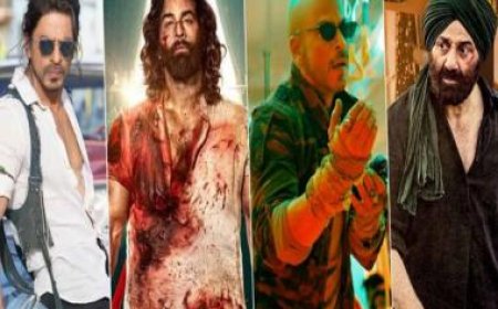Rewind 2023: Shah Rukh Khan's 'Pathaan' &amp; 'Jawan', Ranbir Kapoor's 'Animal', Sunny Deol's 'Gadar 2'- the year of action
