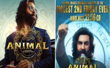 How Ranbir Kapoor’s ‘Animal’ effect has legitimised violence and rage in a year where anger manifested into Bollywood