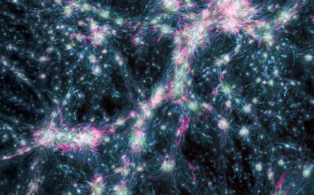 Here are some astounding scientific firsts of 2023