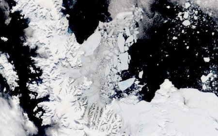 3 Antarctic glaciers show rapidly accelerated ice loss from ocean warming