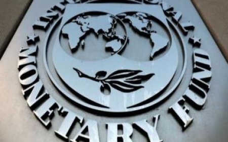 IMF reclassifies India's exchange rate regime to 'stabilized arrangement'