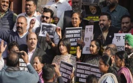 141 Opposition MPs suspended from Parliament: How many lawmakers remain?