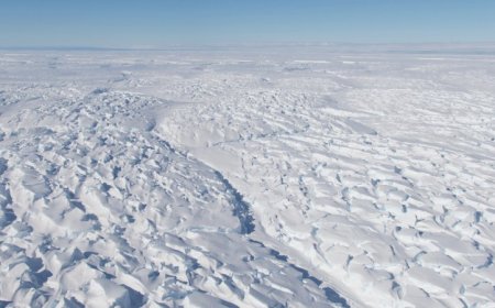 Speed bumps under Thwaites Glacier could help slow its flow to the sea