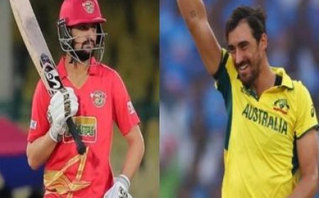 IPL 2024 Auction Biggest Trends: World Cup winners, uncapped Indians celebrate, overseas spinners ignored