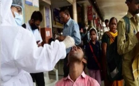 JN.1 variant: No Covid-19 case reported in Odisha last week, claim officials