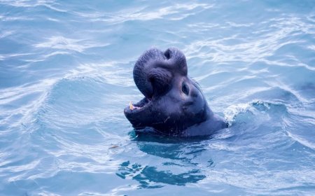 These scientific discoveries set new records in 2023