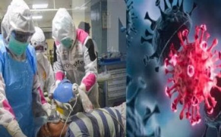 Covid cases in India: 22 cases of JN.1 variant detected till Thursday