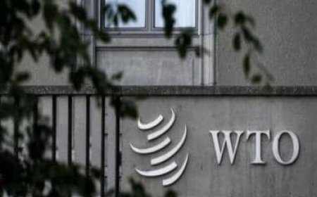 India strongly objects to efforts of certain countries to push a proposal on investment facilitation at WTO