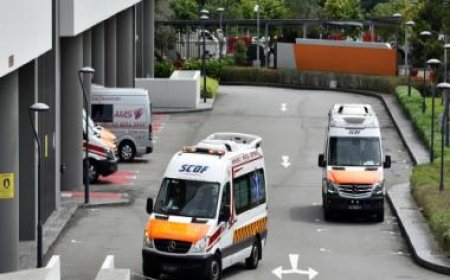 COVID-19's recent wave may have peaked in Singapore, says minister