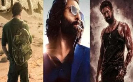 Ranbir Kapoor's 'Animal' craze takes over Shah Rukh Khan's 'Dunki' and Prabhas' 'Salaar'; here's how