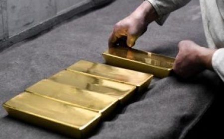 Gold gains as Fed rate cut bets boost appeal