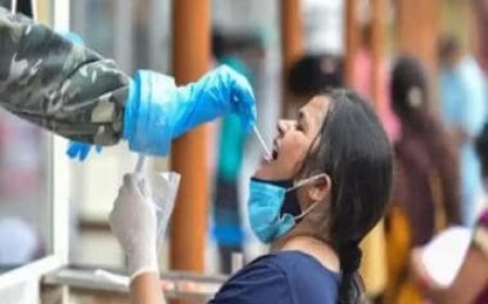 COVID-19 JN.1 Update: Cases in India rise to 69, Karnataka alone logs 50% infections; none yet in Delhi