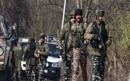 Security forces initiate fresh searches along border with Pakistan in Samba &amp; Poonch
