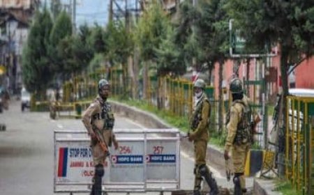 J&amp;K police launches magisterial probe into custodial death in Jourian