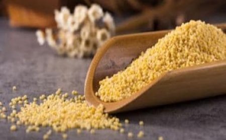 Celebrate the International Year of Millets 2023 with the Forgotten Superfood of India