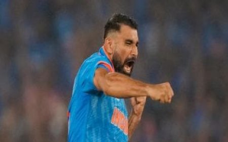 Mohammed Shami 'took injections regularly' during World Cup to manage pain: Report