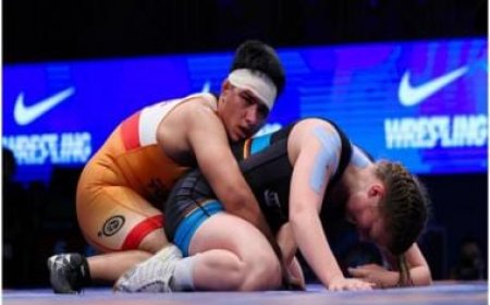 Wrestling Nationals in Jaipur from February 2-5, says WFI ad-hoc panel