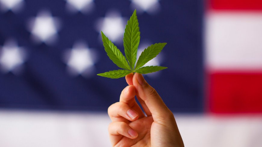 Recreational cannabis has reached a tipping point, this is how we got here