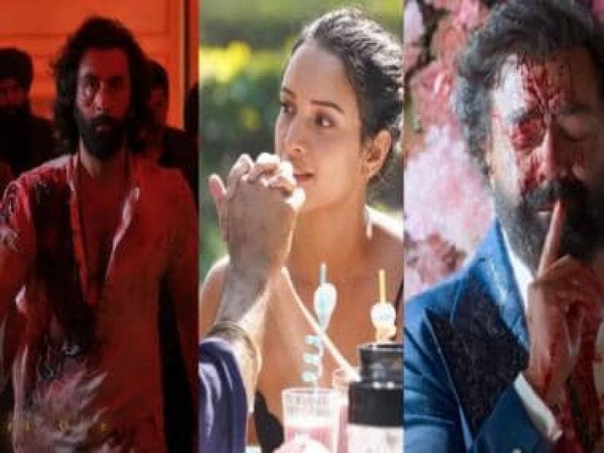 Animal: How Ranbir Kapoor's film shows a world of Sikhs and Muslims but never becomes about religion | Explained