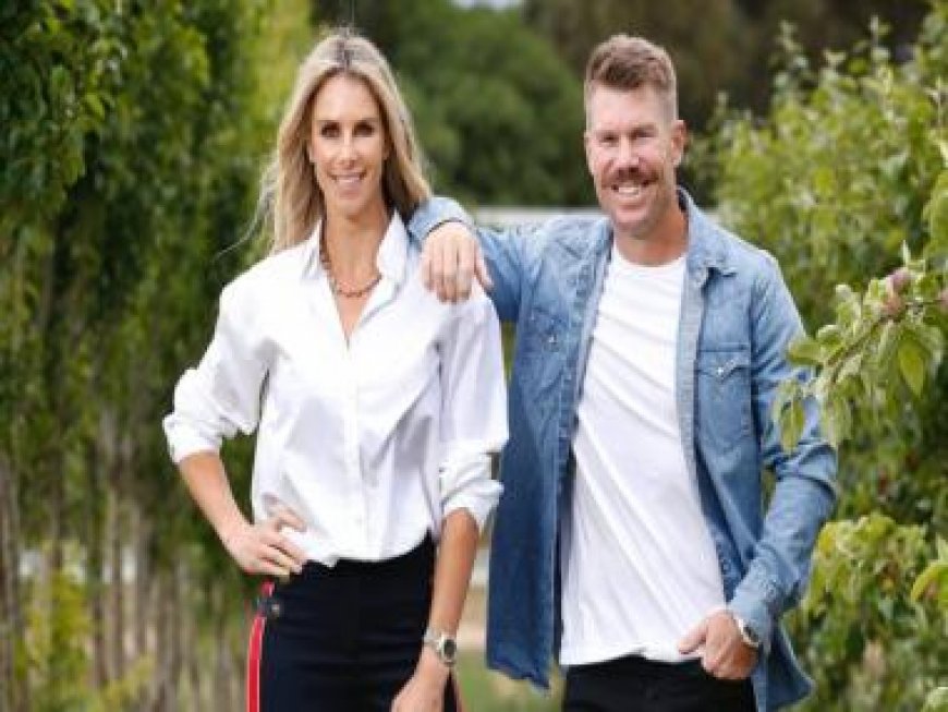 David Warner's wife Candice takes aim at Mitchell Johnson after opener's dazzling century