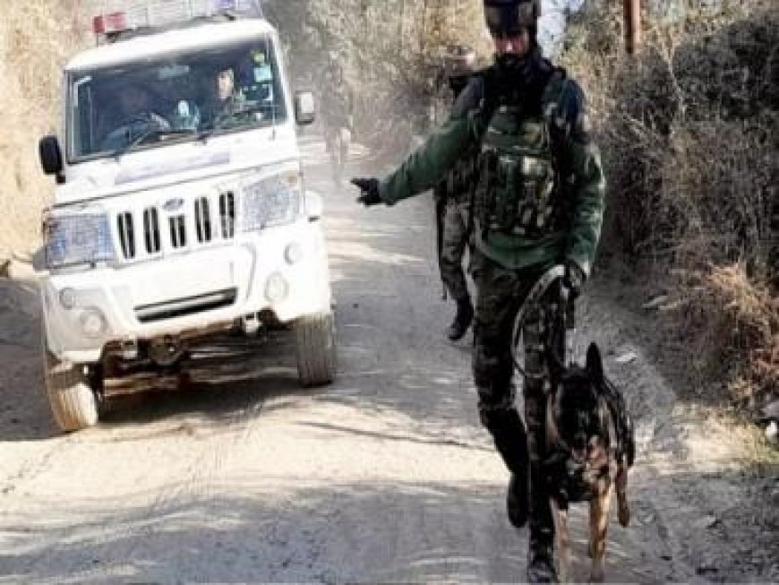 Terrorism on deathbed in Jammu and Kashmir after Article 370 abrogation, says governor