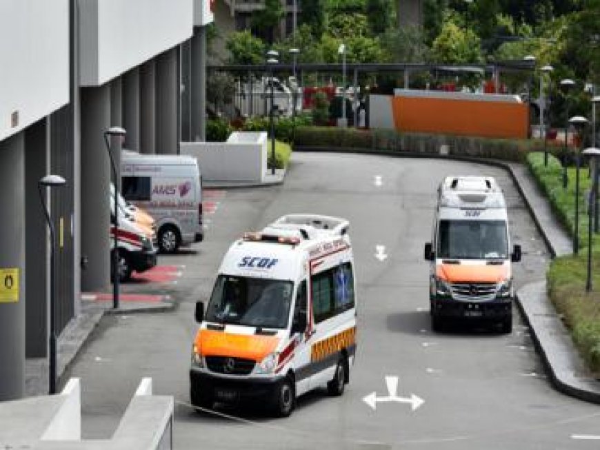 COVID-19's recent wave may have peaked in Singapore, says minister