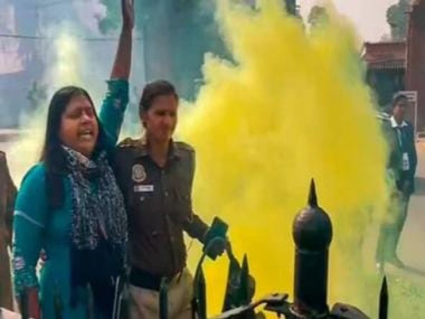 Parliament Security Breach: Accused Neelam files Habeas Corpus plea before Delhi HC