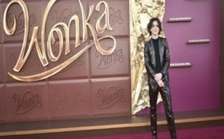 Timothée Chalamet starrer Wonka ends the year No 1 at the box office, 2023 sales reach $9 billion in post-pandemic best