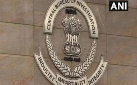 CBI closes betting cases pertaining to IPL 2019 due to lack of evidence