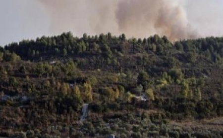 Lebanon: Hamas leader killed in Israeli air strike