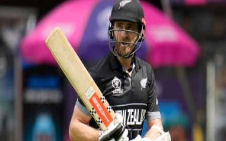 Kane Williamson named New Zealand captain for T20I home series against Pakistan