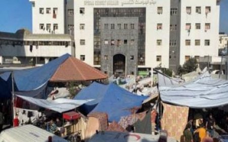 ‘You have blood on your hands’: Israel thrashes WHO after US media reports Al-Shifa hospital was Hamas military base