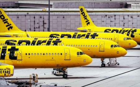 The single most popular route on Spirit Airlines will surprise you