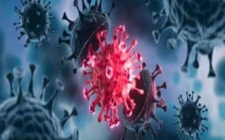 India's Covid-19 sub-variant JN.1 tally rises to 619, highest cases from Karnataka &amp; Kerala