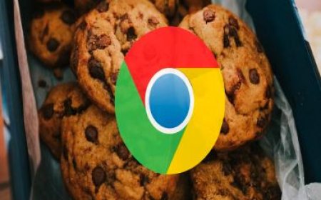Google disables cookies so that no one else, only they can track your every move