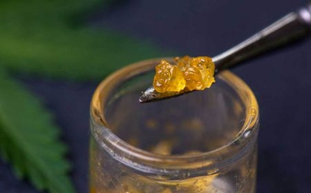 The teen brain is especially susceptible to the harms of THC