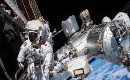 Hale &amp; Hearty: Scientists plan the perfect ‘space meal’ for long-term space tourists, astronauts