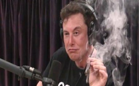Report claims Tesla, SpaceX leaders worried over Elon Musk’s drug abuse, tech mogul responds