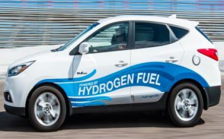 Team led by Indian-origin scientist make eco-friendly, sustainable ‘green petrol’ using whiskey waste