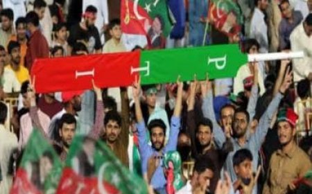 Pakistan polls 2024: Imran Khan's party PTI wins back cricket 'bat' symbol as court declares ECP order unconstitutional