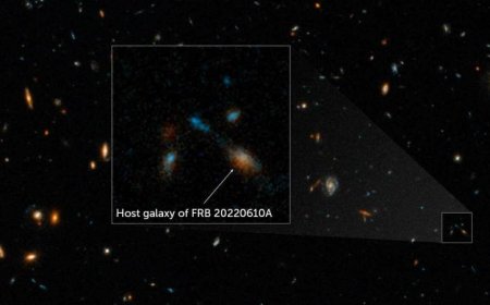 The strongest known fast radio burst has been traced to a 7-galaxy pileup
