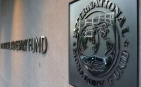 Global economy 'poised for a soft landing': IMF