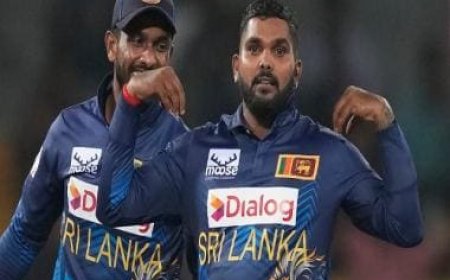 Wanindu Hasaranga takes career-best figures on return as Sri Lanka crush Zimbabwe to win ODI series