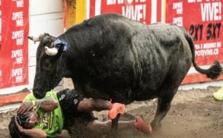 Bullfighting returns to Mexico City: Why it was banned and what is its contribution to economy?